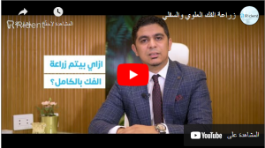 فيديوهات 8 Screenshot 17